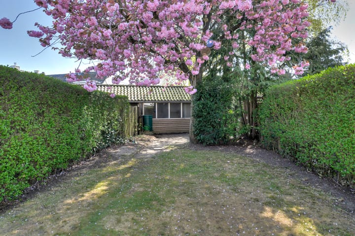 Foto 41 van Groene Woud 98