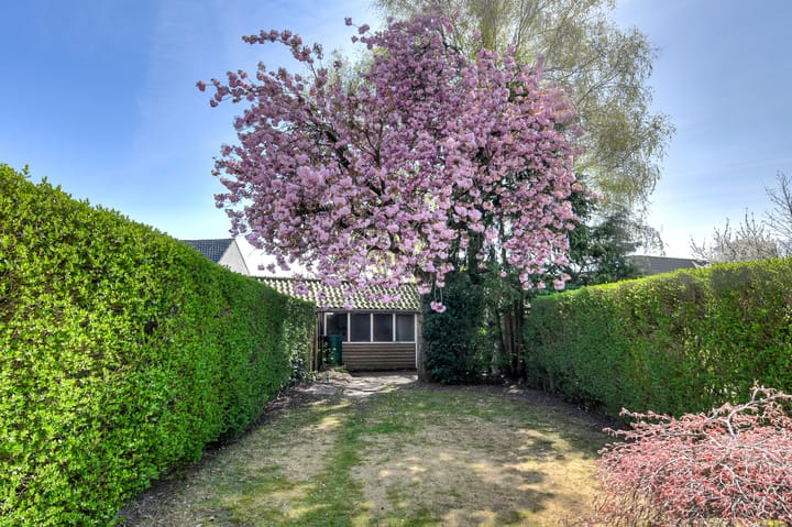 Foto 40 van Groene Woud 98