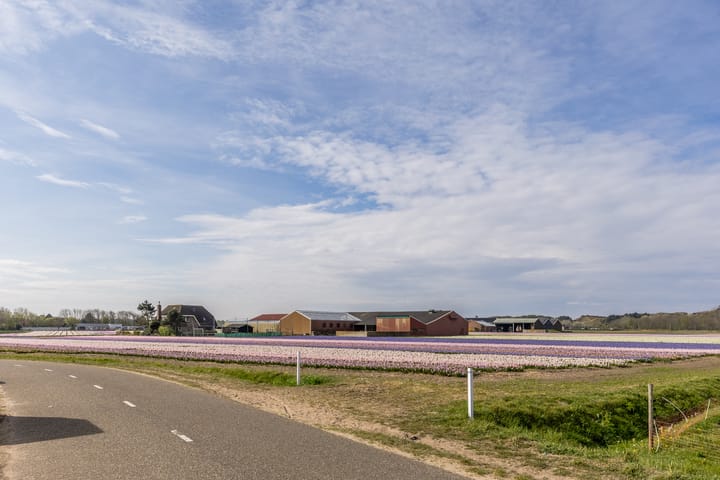 Photo 38 of Duindoornlaan 10