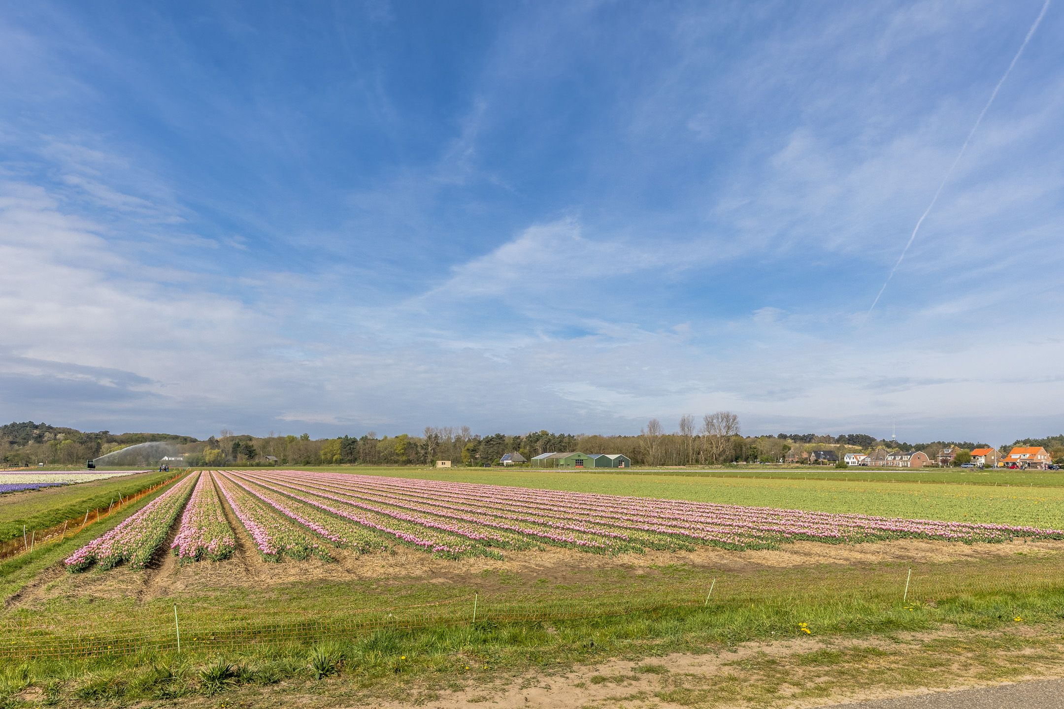 Photo 39 of Duindoornlaan 10