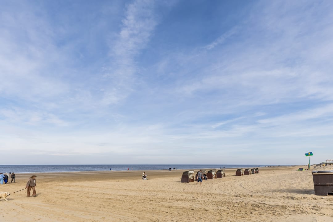 Photo 41 of Duindoornlaan 10