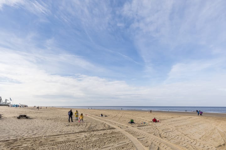 Photo 42 of Duindoornlaan 10