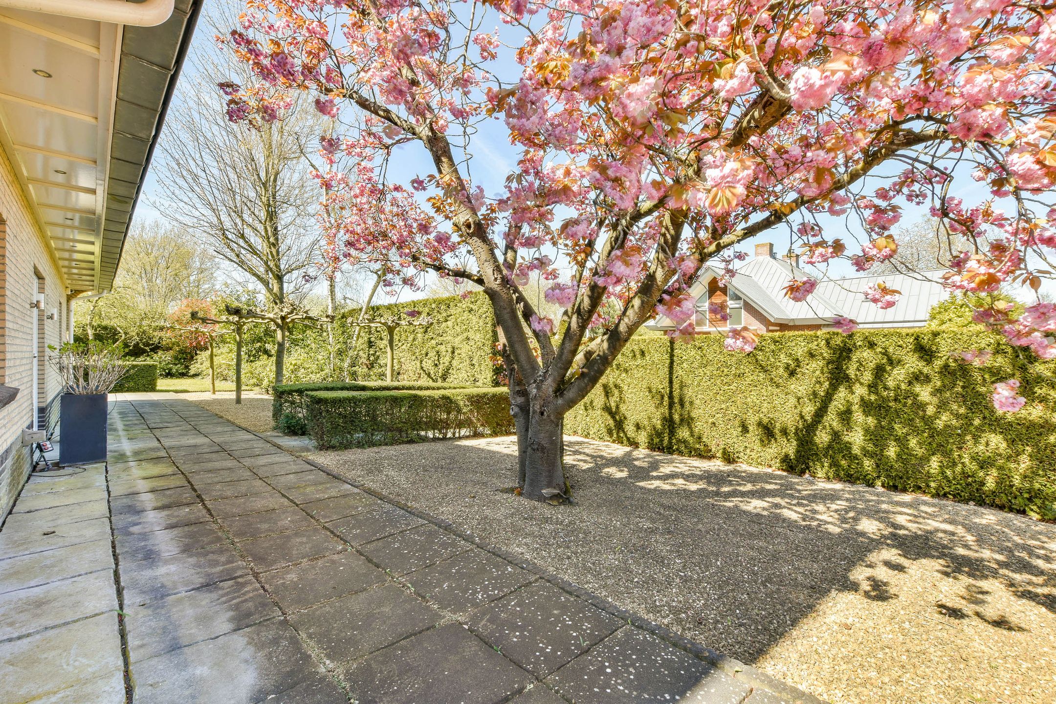 Foto 3 van Waalhavenstraat 2