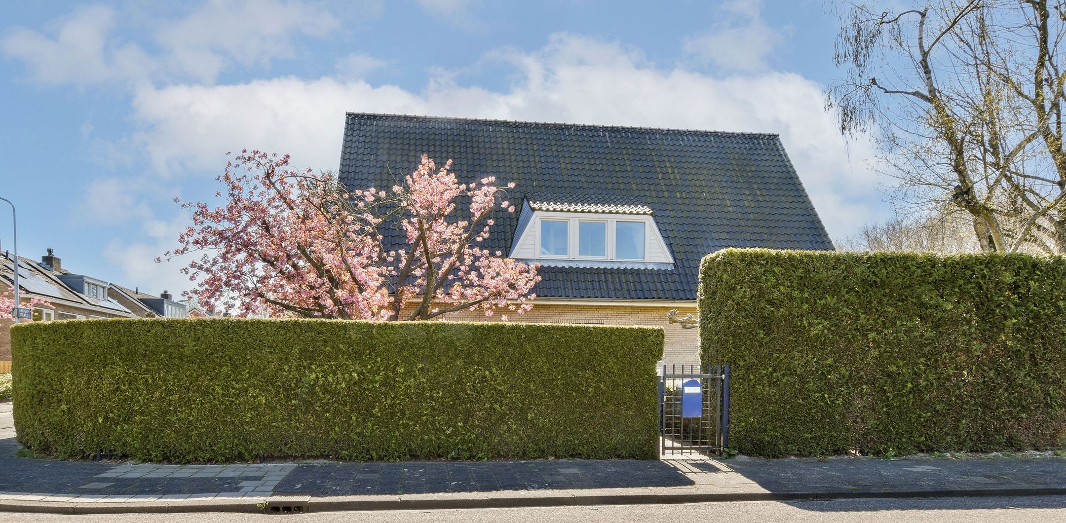 Foto 54 van Waalhavenstraat 2