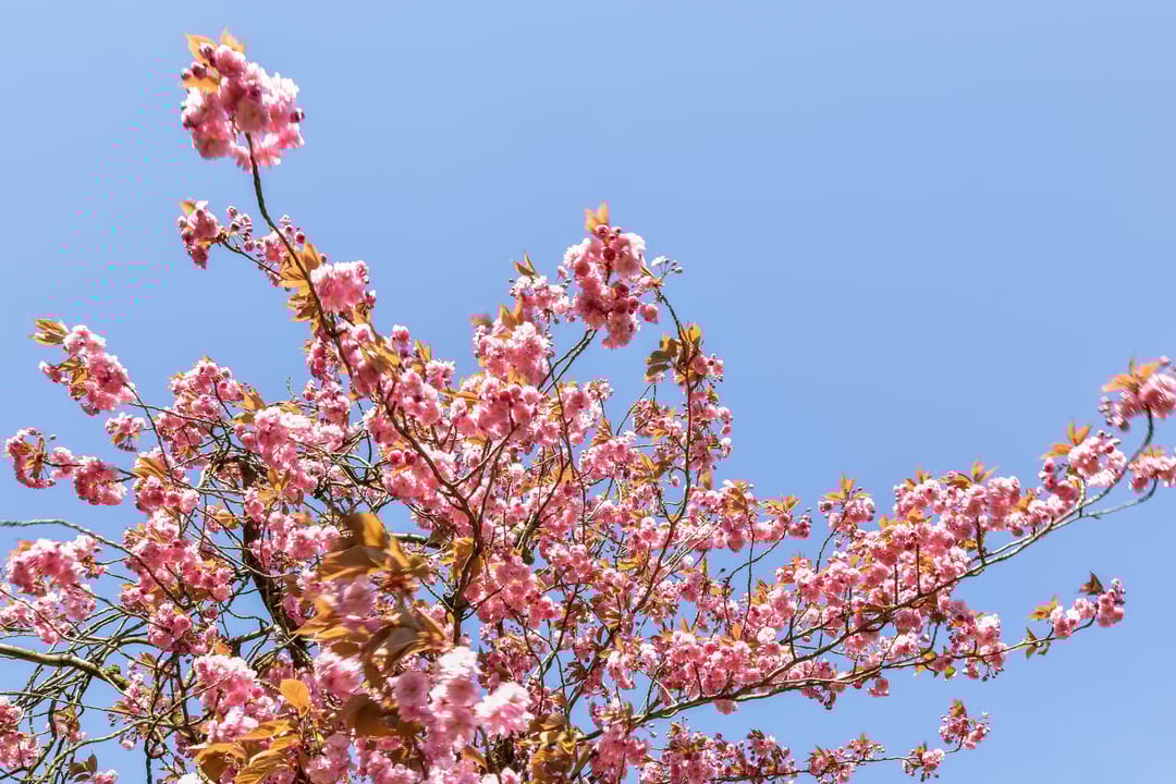 Foto 56 van Waalhavenstraat 2