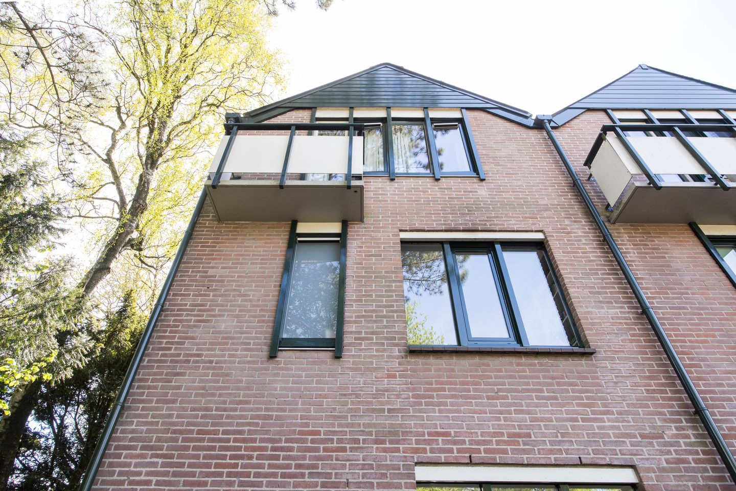 Foto 50 van Iepenlaan 63