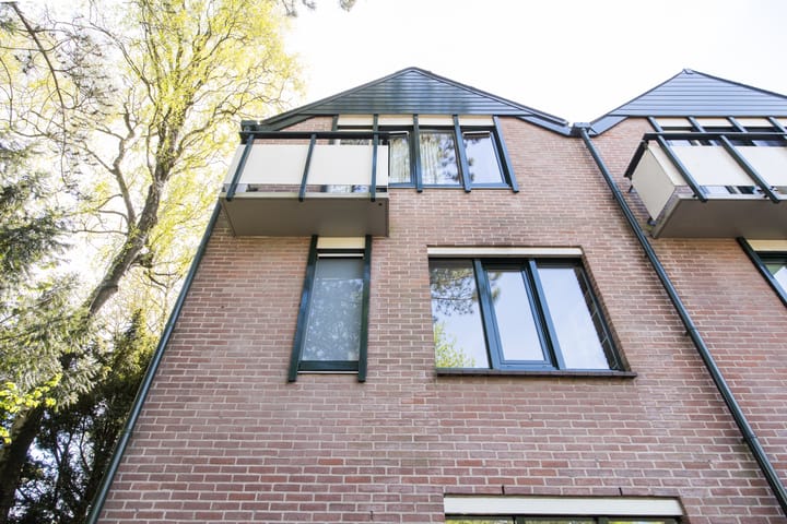 Foto 50 van Iepenlaan 63