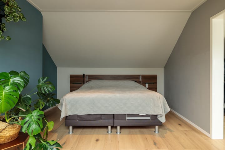 Photo 25 of Botter 18