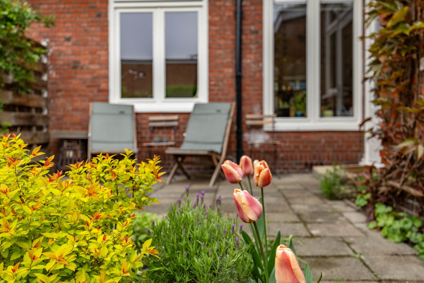 Foto 5 van C.H. Petersstraat 3