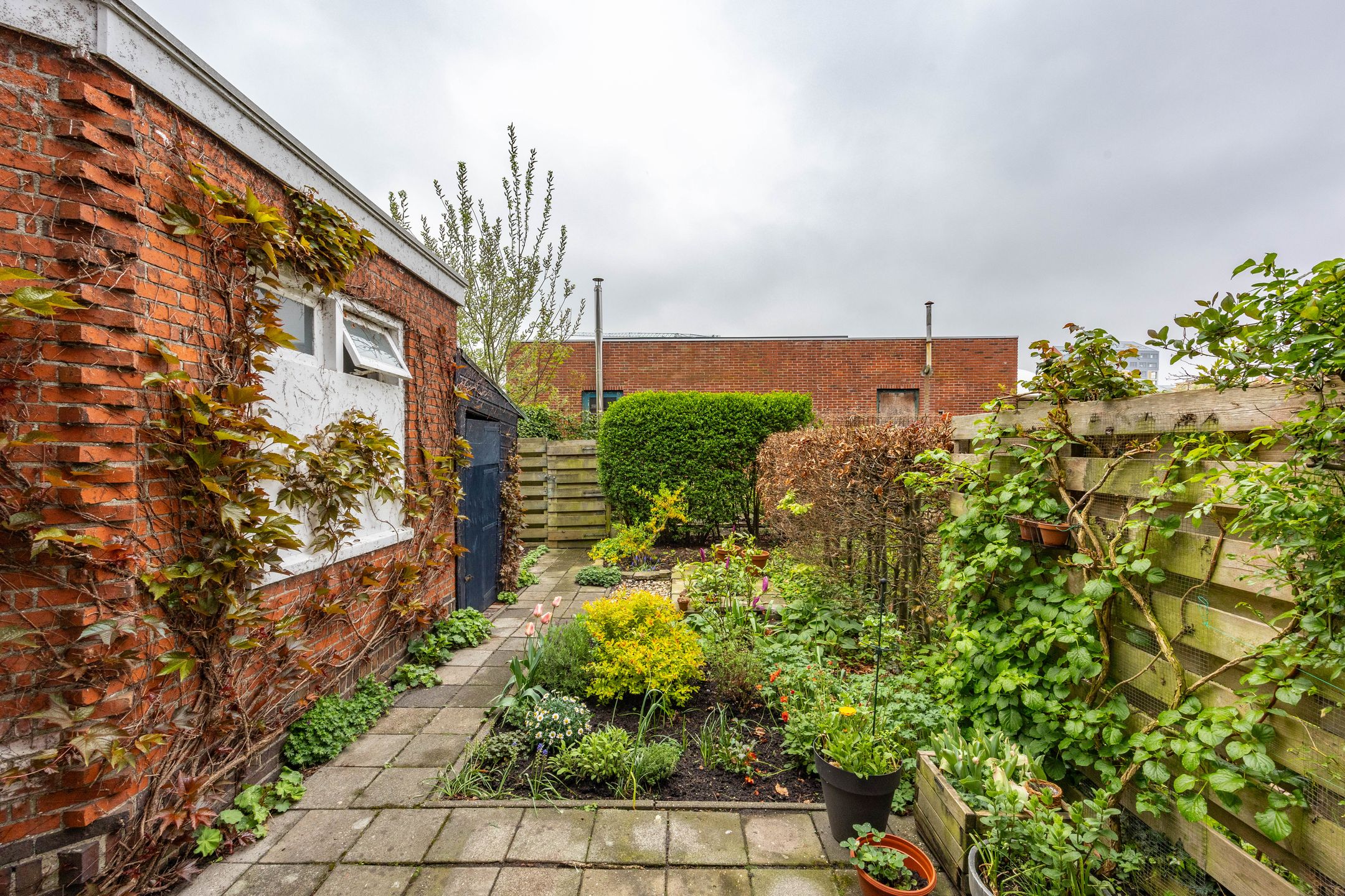 Foto 33 van C.H. Petersstraat 3