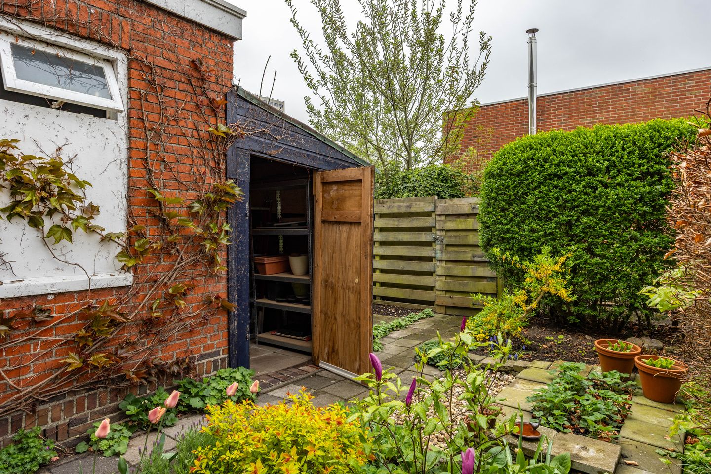 Foto 35 van C.H. Petersstraat 3