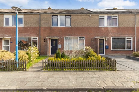 undefined main image