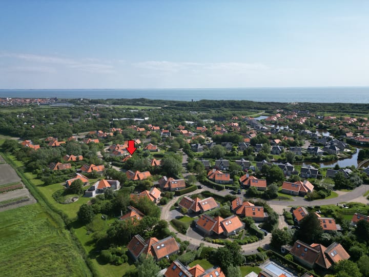 Foto 2 van Zeekoet 13