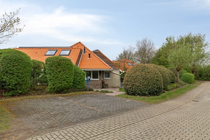 Foto 3 van Zeekoet 13