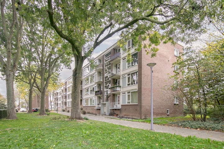 Wilbertoord 245