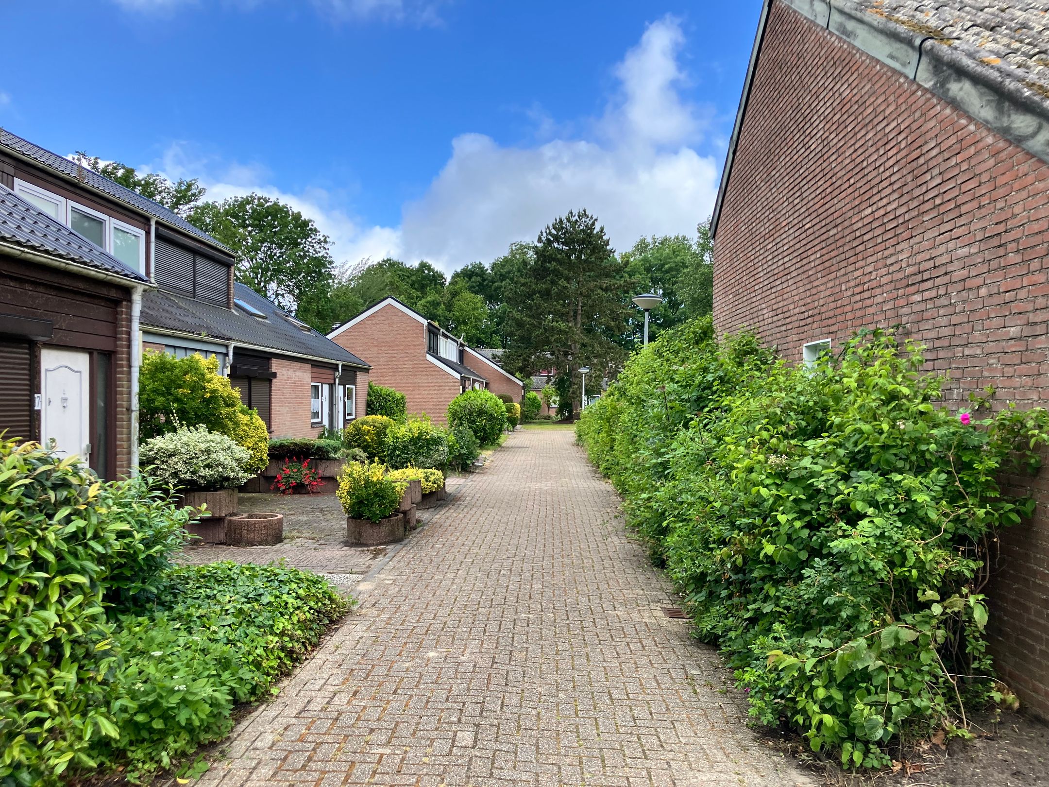 Foto 3 van Molenweg "De Kreek" Hertengang 43