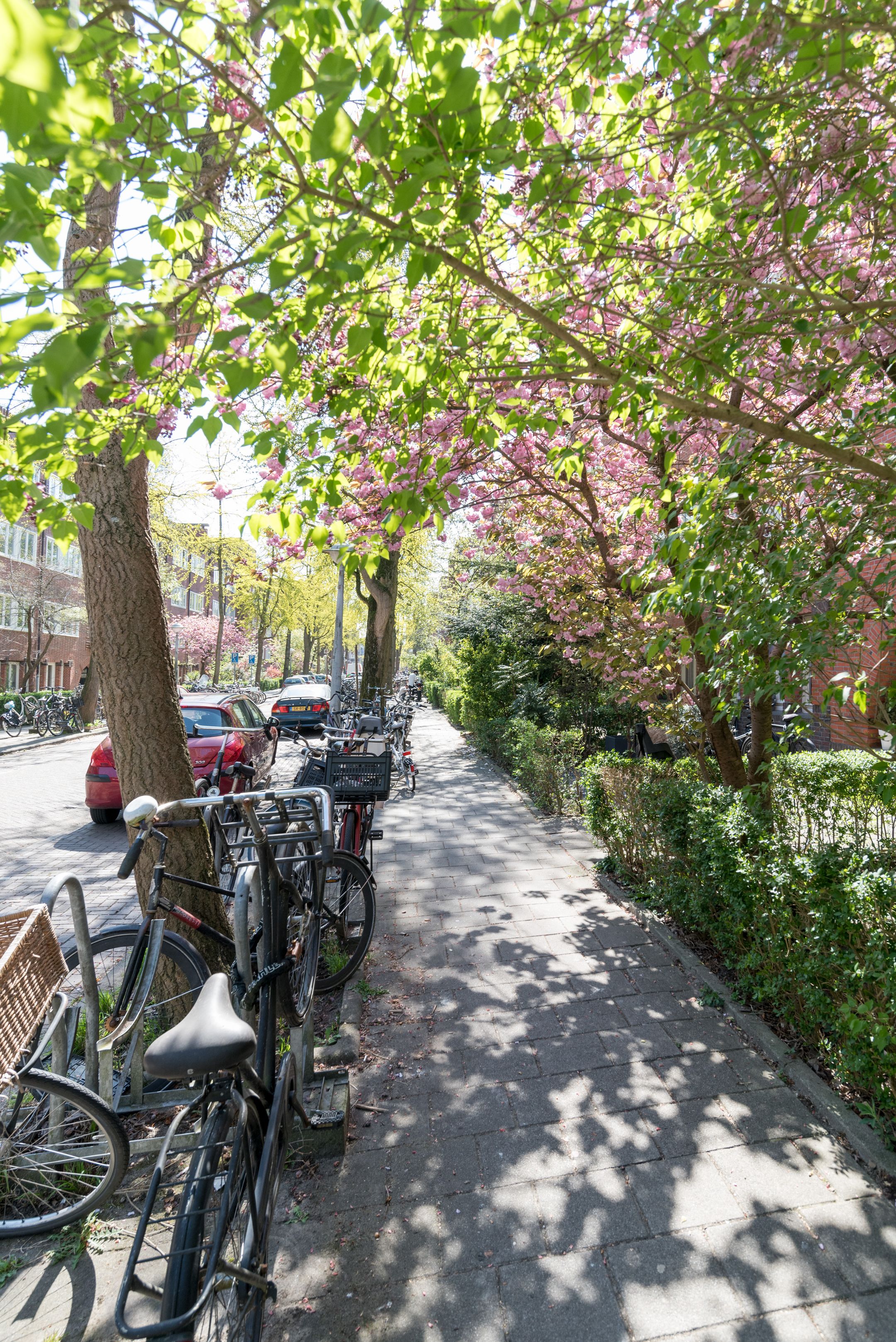 Foto 18 van Vespuccistraat 85-2