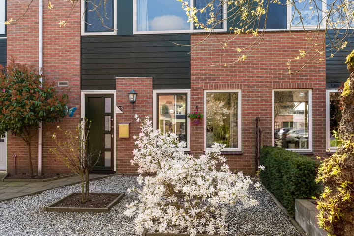 Foto 2 van Schaepmanstraat 15