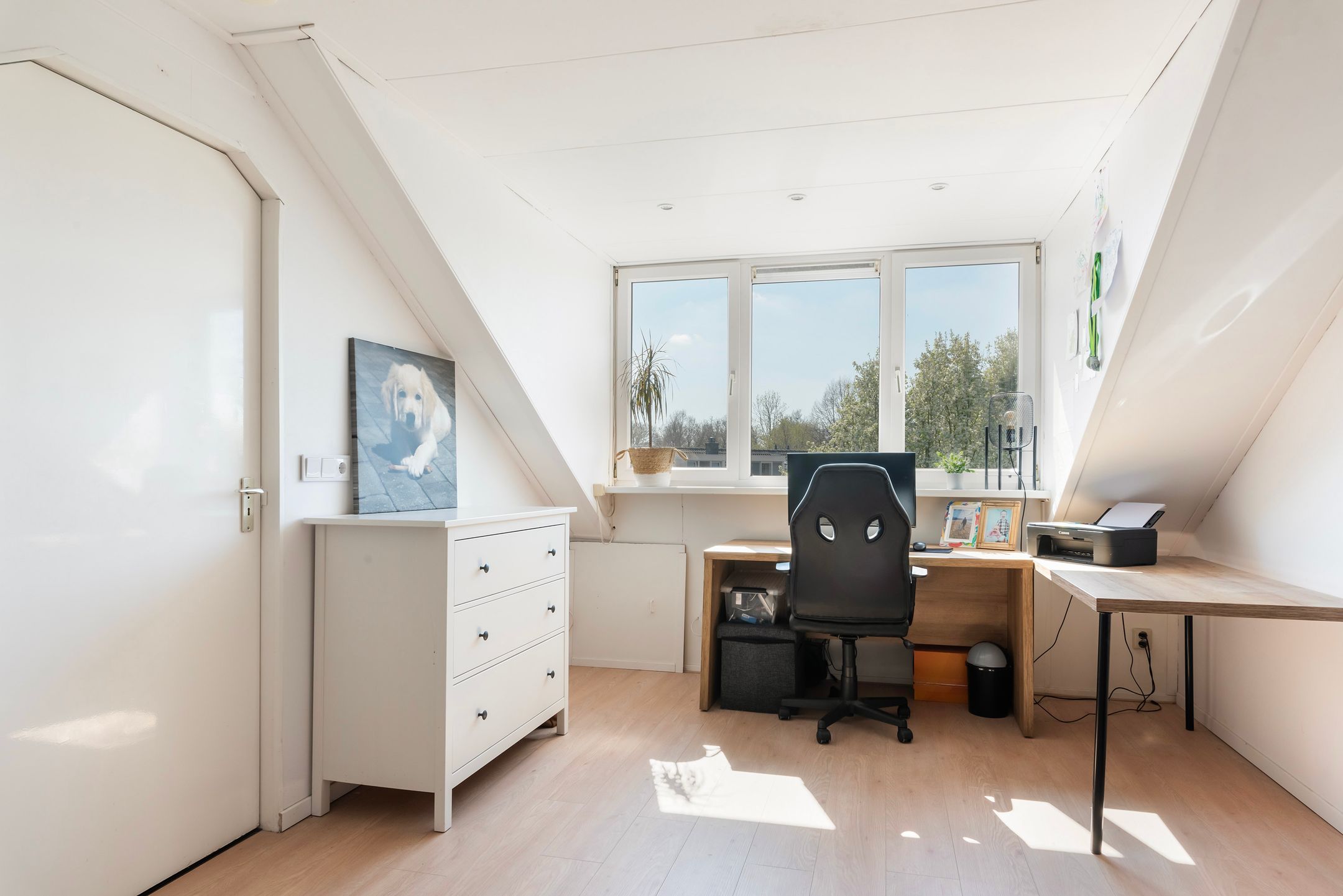 Foto 21 van Schaepmanstraat 15