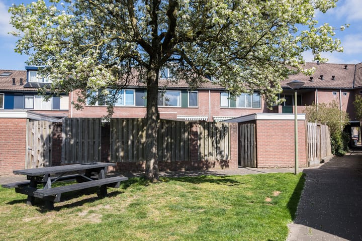 Foto 29 van Schaepmanstraat 15