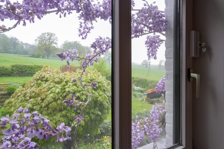 Foto 10 van Holset 106