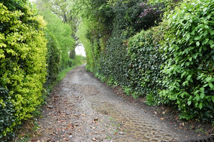 Foto 26 van Holset 106