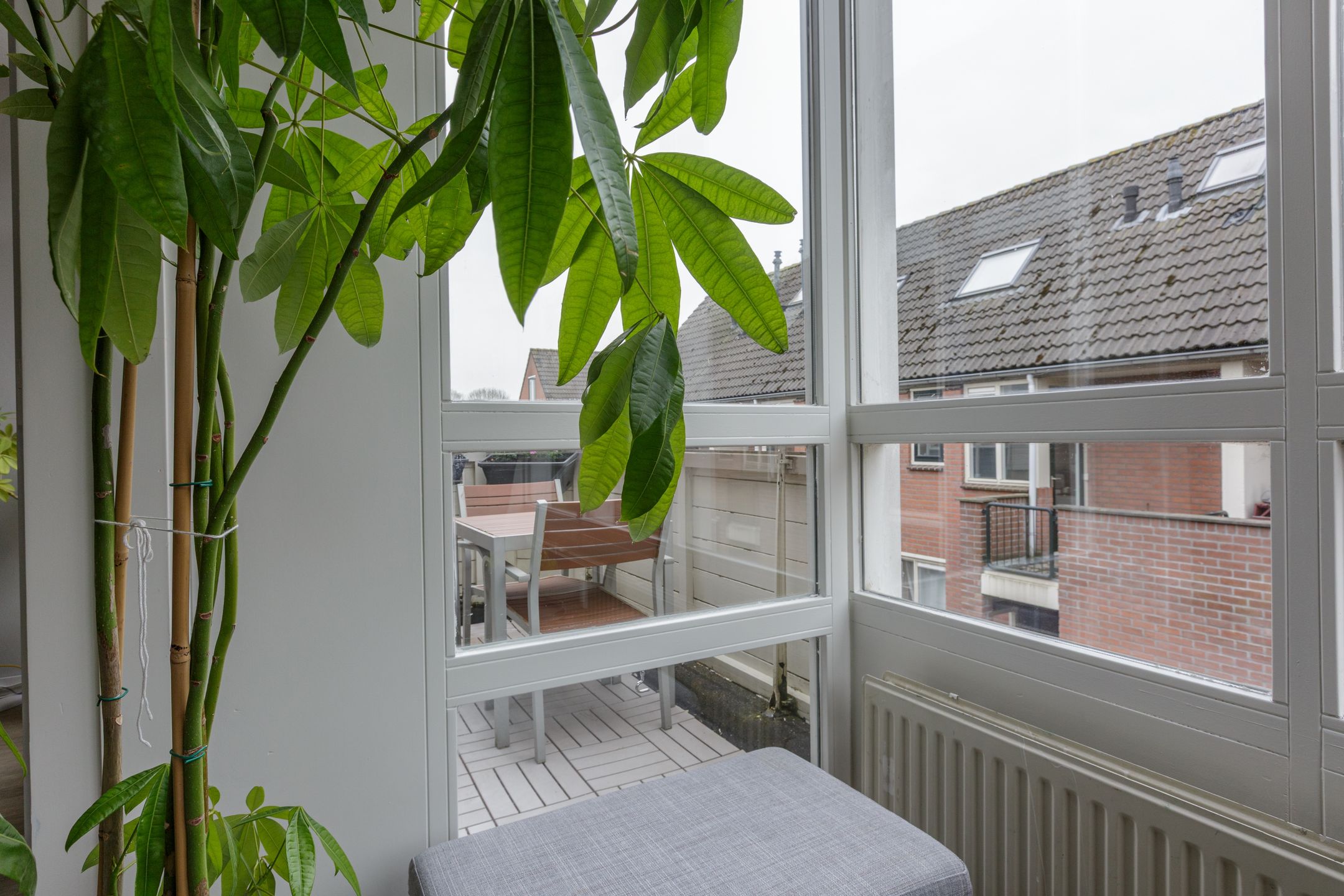 Photo 12 of Walnootgaarde 42