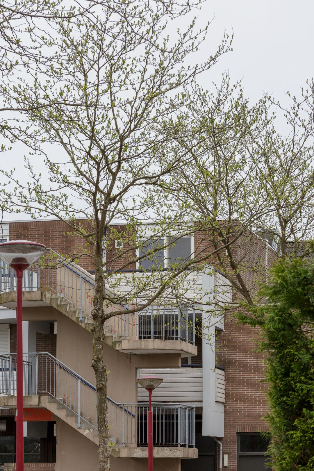 Photo 53 of Walnootgaarde 42