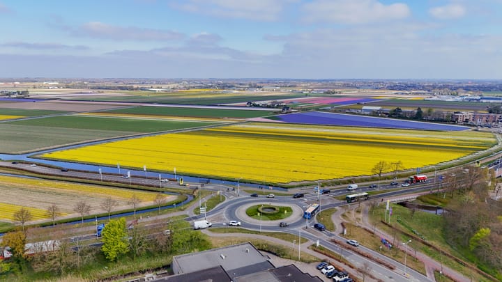 Foto 37 van Driehuizenpark 9