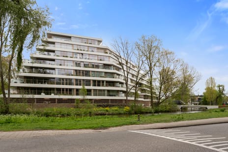 Nancy Zeelenbergsingel thumbnail