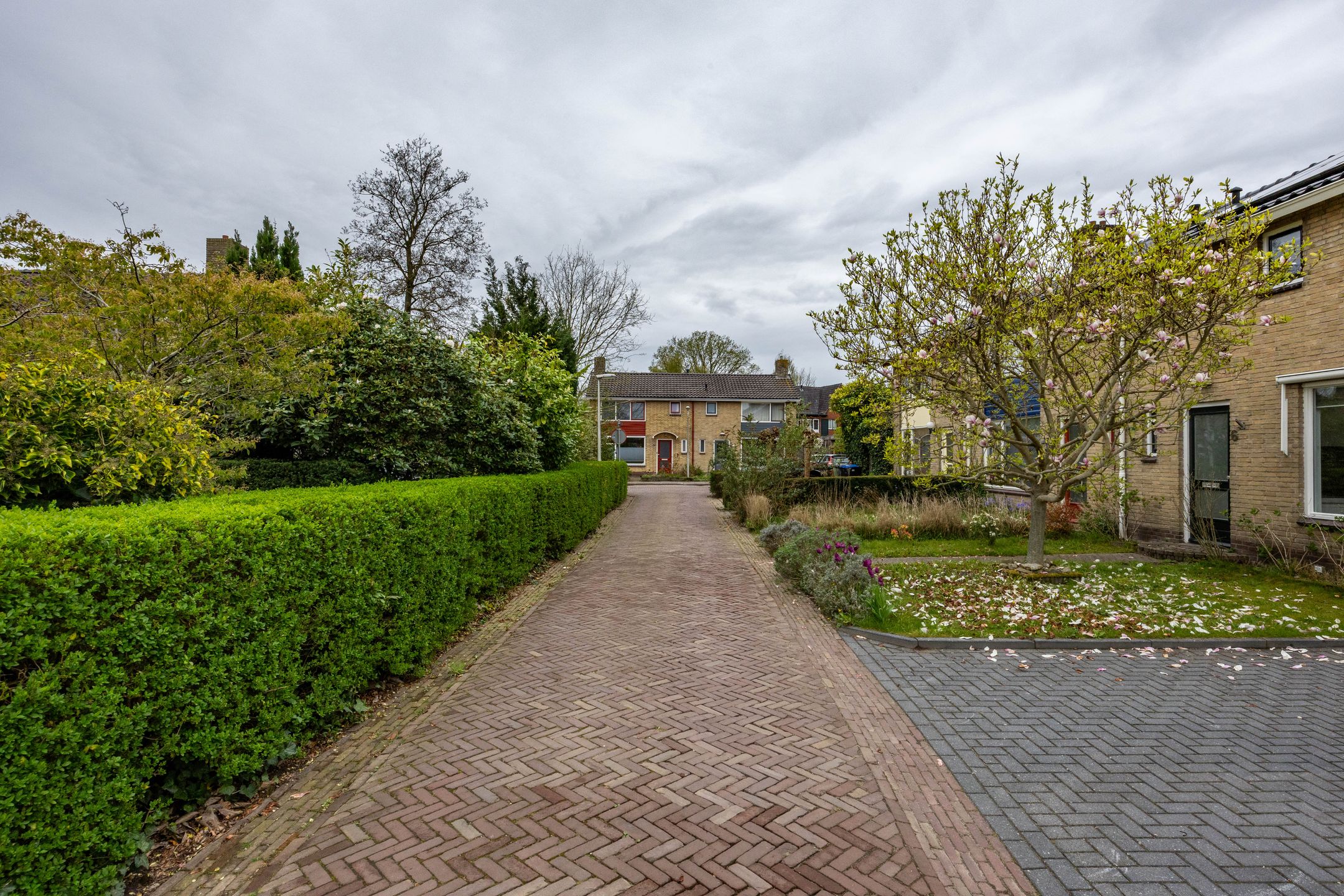 Foto 36 van Jorissenweg 6