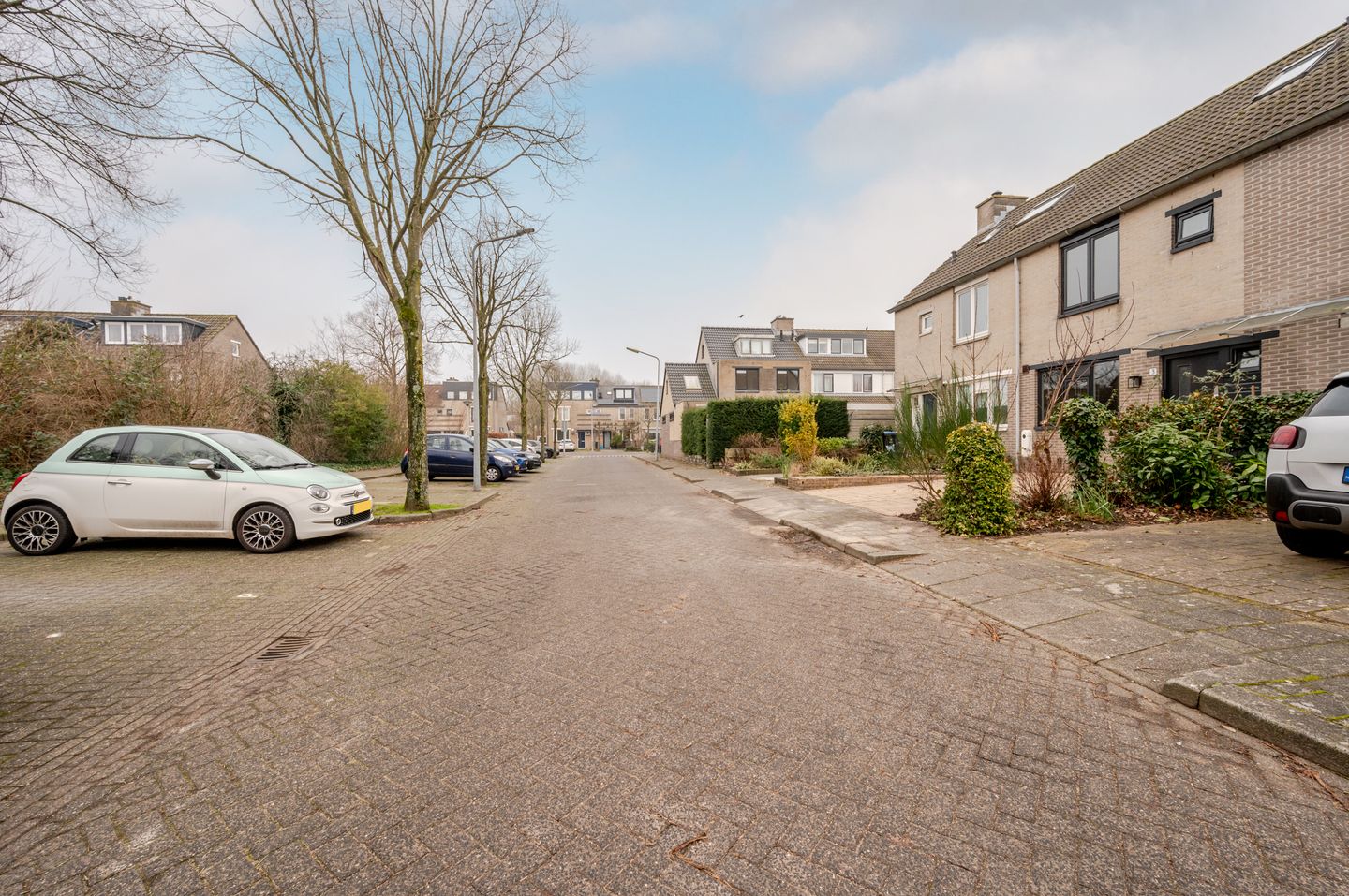 Foto 40 van Antillenstroom 3