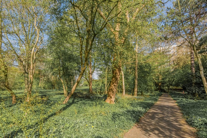 Foto 45 van Max Havelaarlaan 401-A