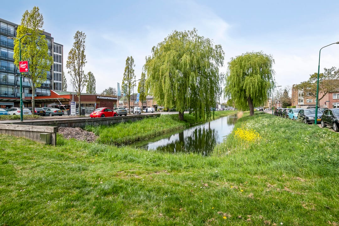 Foto 38 van Schaepmanstraat 17