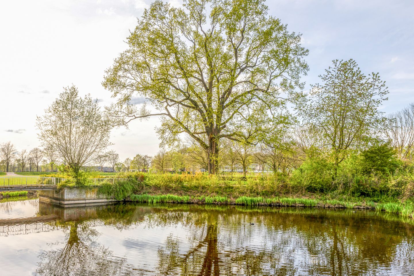 Foto 49 van Boelestein 27