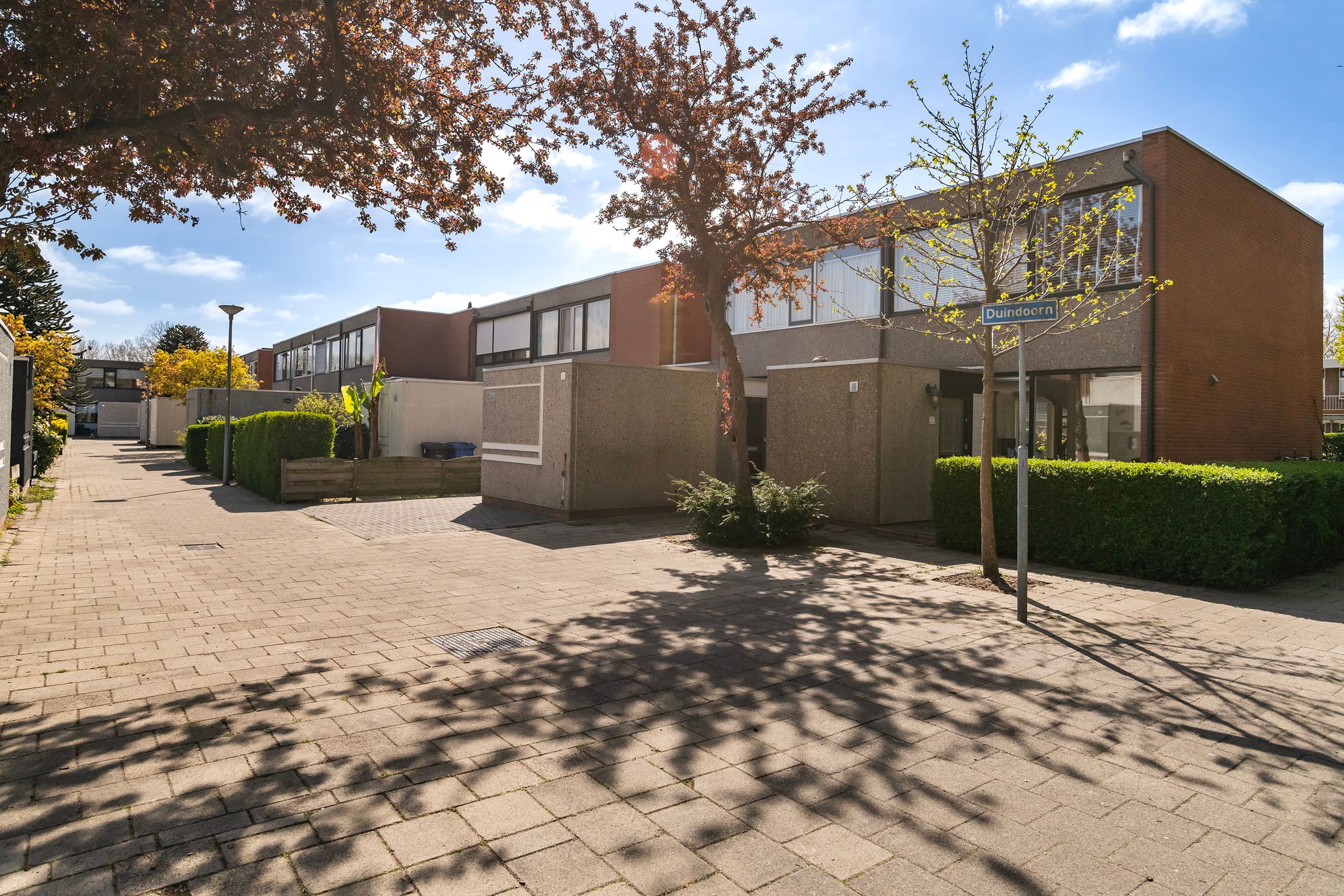 Photo 3 of Duindoorn 12