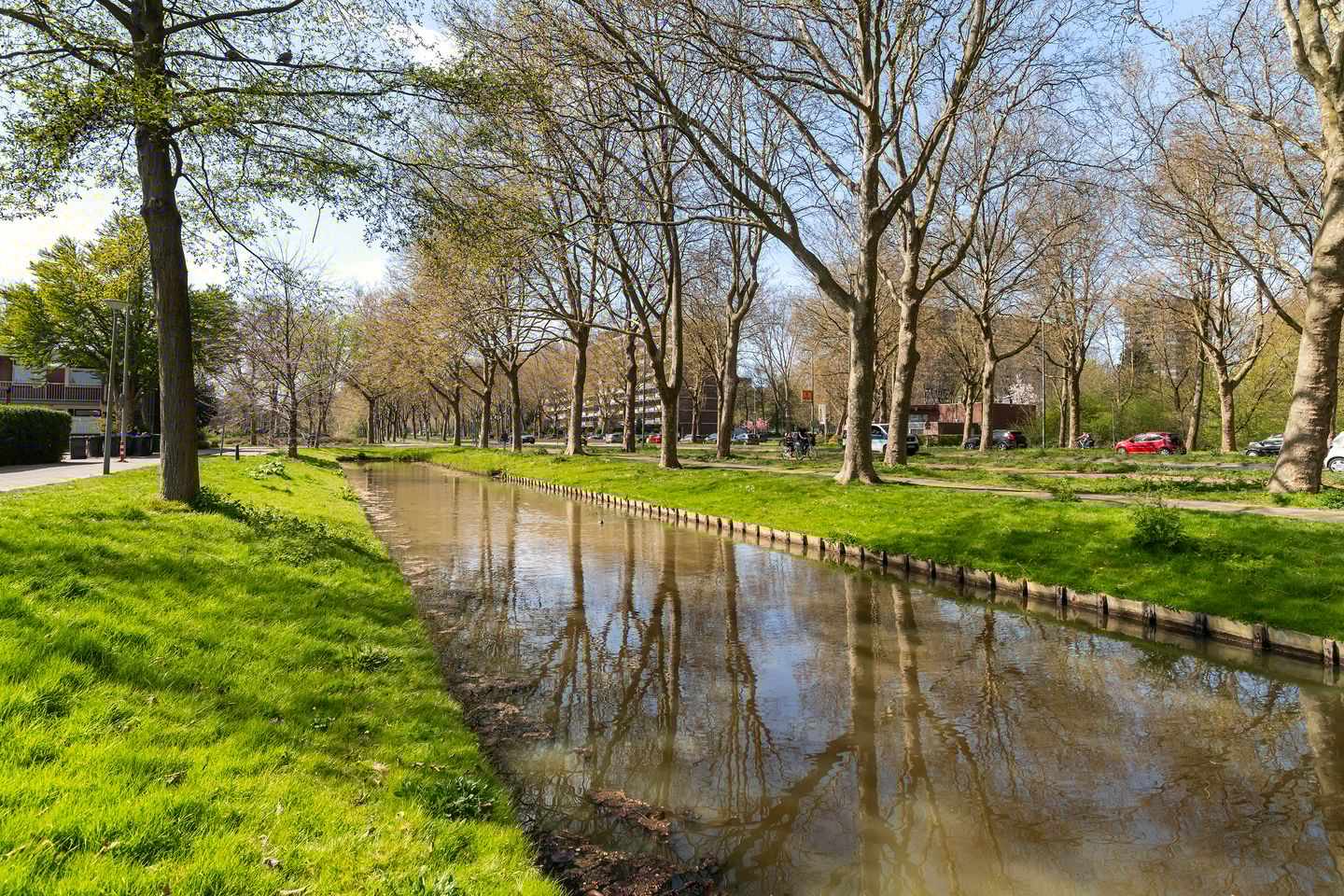 Photo 19 of Duindoorn 12