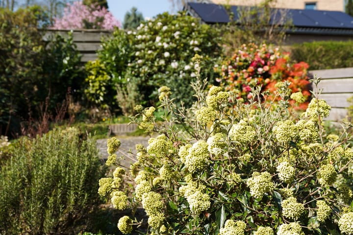 Foto 36 van Stenenkruis 25