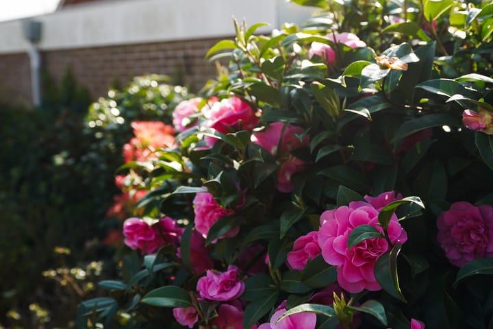 Foto 42 van Stenenkruis 25