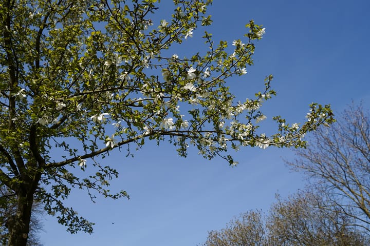 Foto 48 van Stenenkruis 25