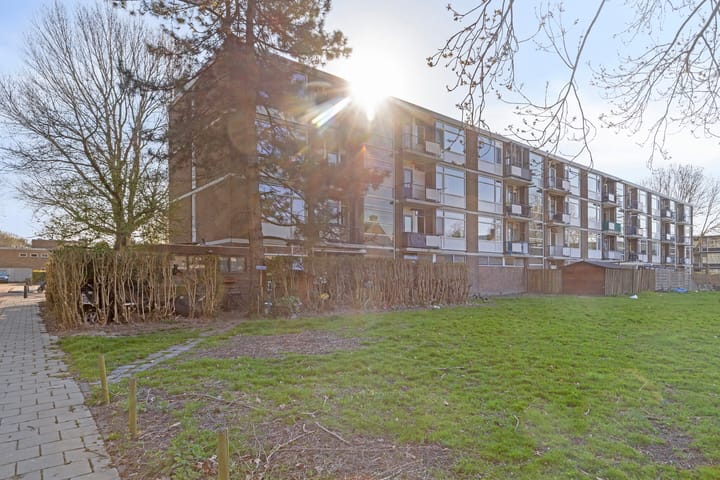 Foto 20 van Lelieplein 13-A