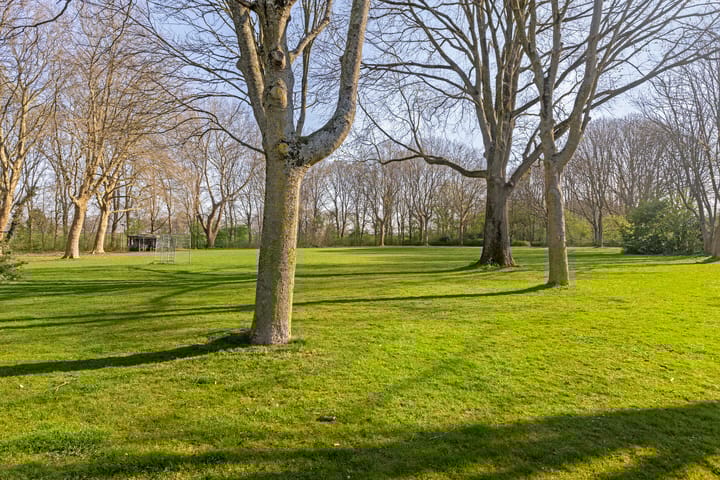 Foto 22 van Lelieplein 13-A