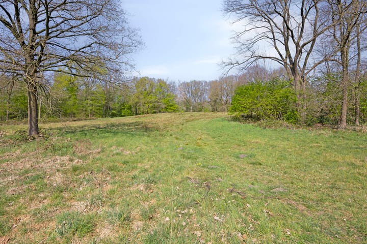 Foto 38 van Schabbinklanden 63