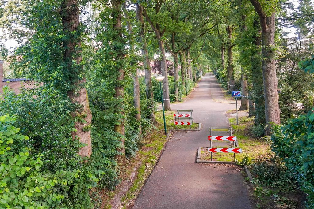 Foto 28 van Berkenlaan 1