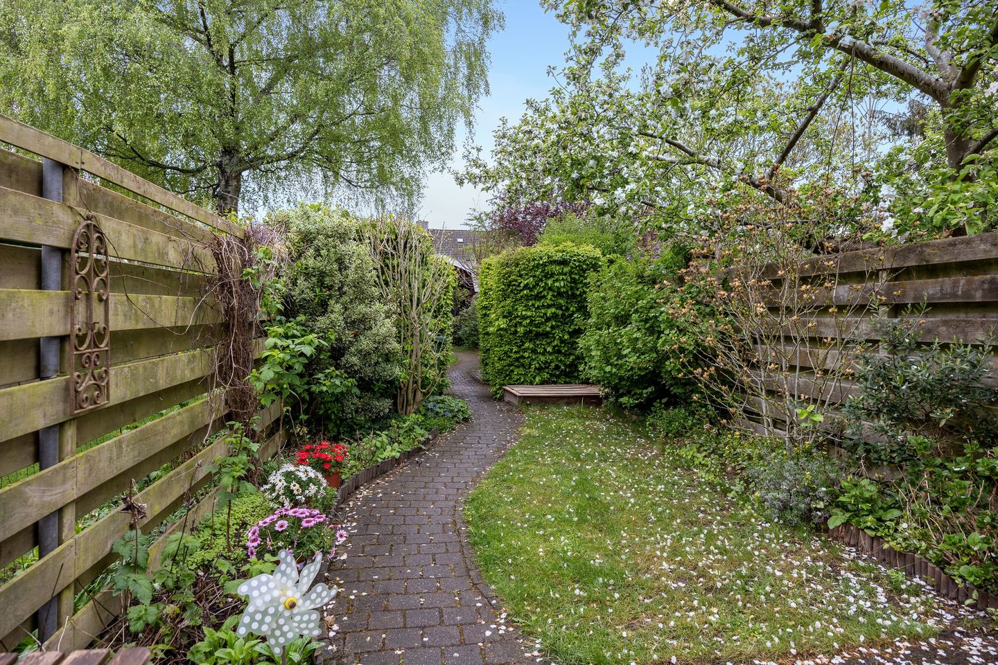 Foto 29 van Nieuwstraat 51