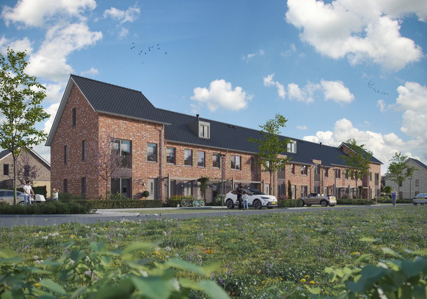Image of Het Leeuwse Veld | fase 18