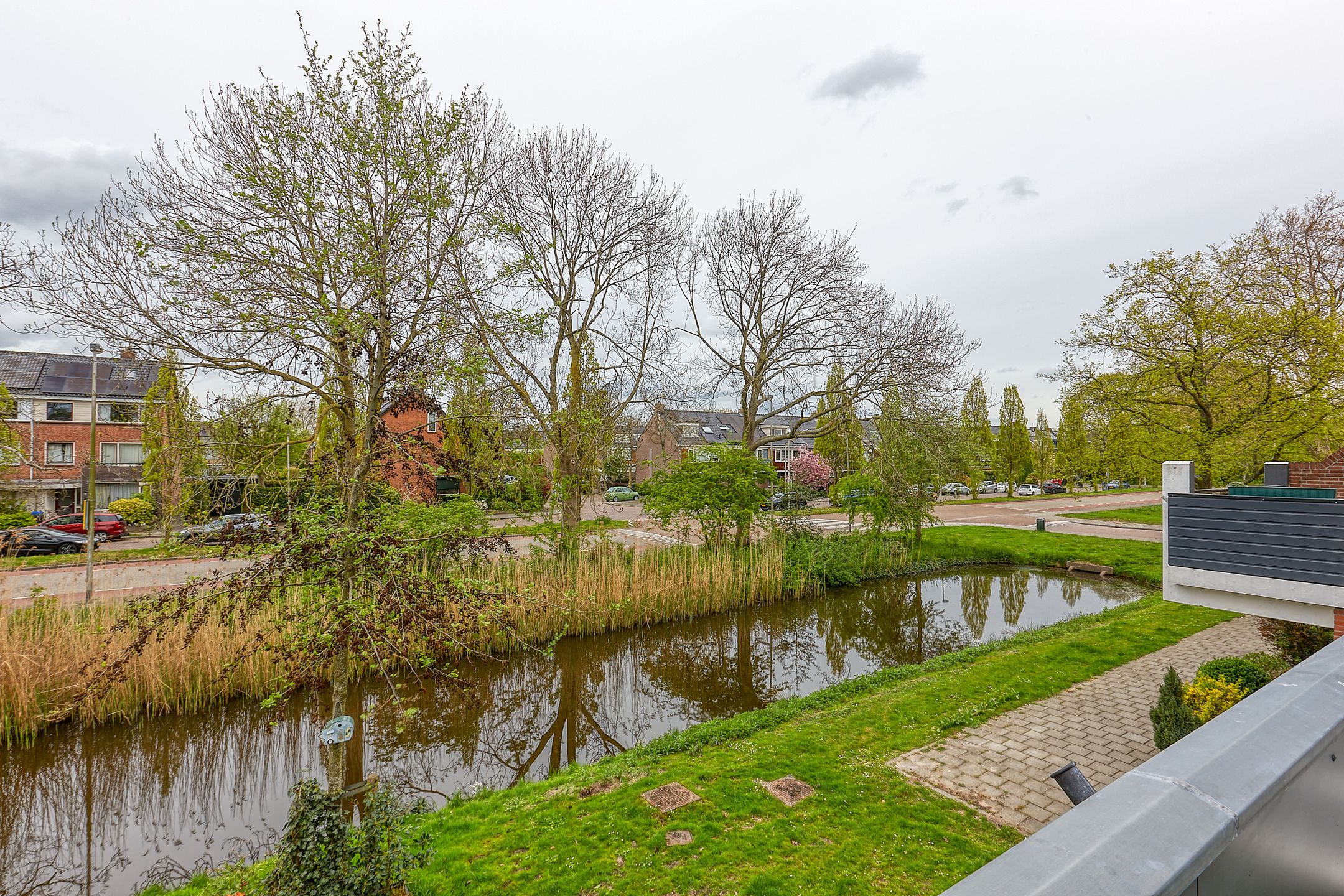 Foto 27 van Pluimzeggekreek 8