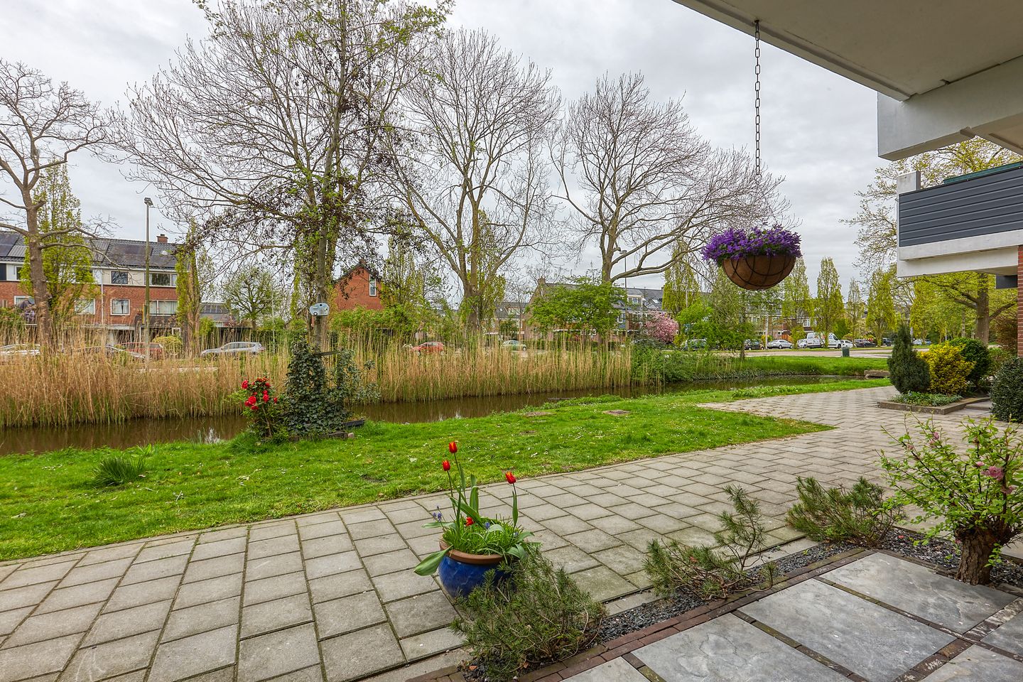 Foto 35 van Pluimzeggekreek 8