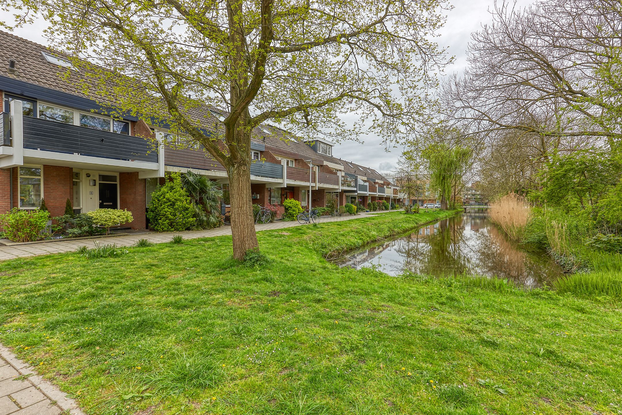 Foto 36 van Pluimzeggekreek 8