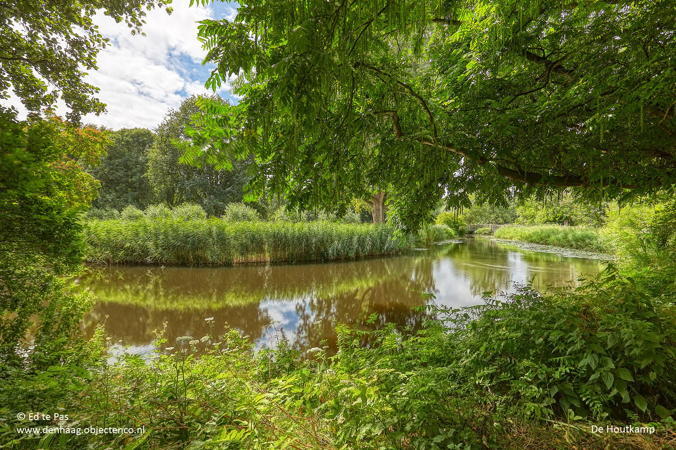 Foto 39 van Pluimzeggekreek 8